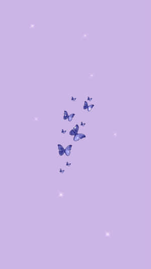 귀여운 보라색 배경