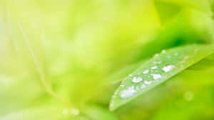 5120x2880