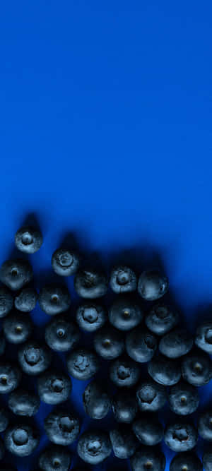 1080x2400 — 흑백 감성 배경화면