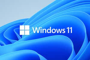 Windows 사진
