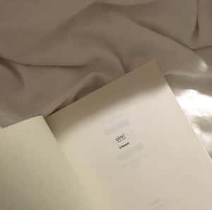 감성적인 베이지 사진들 — 미적 베이지 배경화면