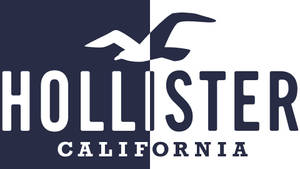 투톤 Hollister 로고 배경화면 — 크롬북 배경화면