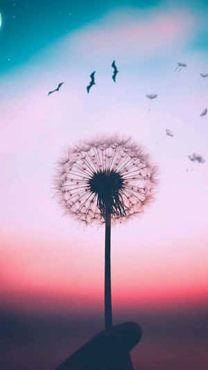 특별한 — 미적 폰 배경화면
