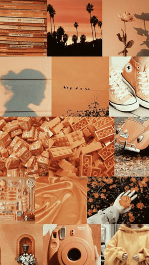Zehra Us on Wallpapers