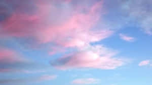 파스텔 미학 사진 — 파스텔 감성 GIF 배경화면