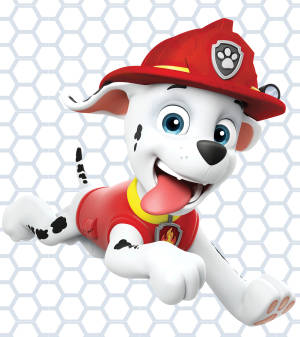 Paw Patrol Marshall wallpaper — 갤럭시 Z 폴드8 울트라 배경화면