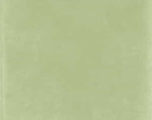 평화로운 세이지 그린 감성 배경 — 세이지 그린 감성 배경화면