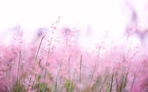 1280x800 — 1280x800 배경화면
