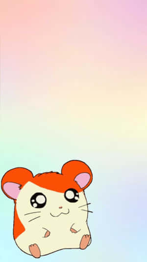 햄스터 — 만화 GIF 배경화면