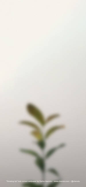 베이지 아이폰 — 1320x2868 배경화면