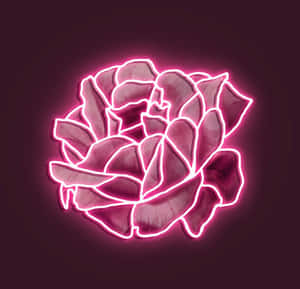 네온 핑크 감성 사진 — 네온 핑크 감성 배경화면