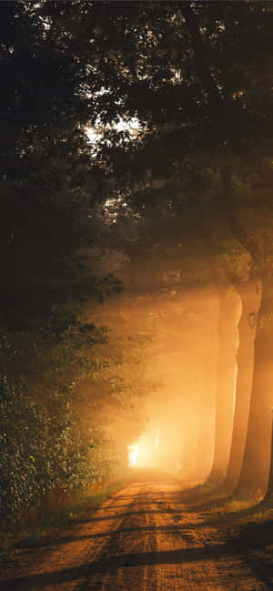 흙길 자연 배경화면 — Oppo Find X9 Ultra 배경화면