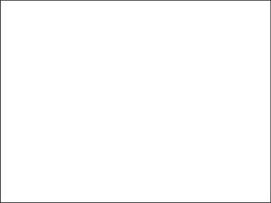 흰색 바탕에 검은 테두리